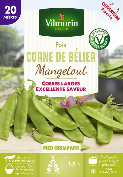 Légumes Secs - Pois Mangetout Corne de Bélier - 20 m - PACKAGING_RECTO